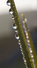 Raindrops 02